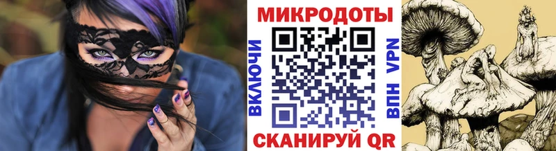 мориарти клад Холм Галлюциногенные грибы Psilocybine cubensis